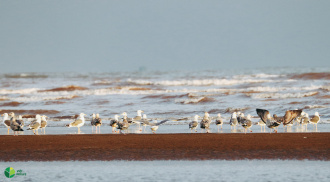 Nâng cao năng lực